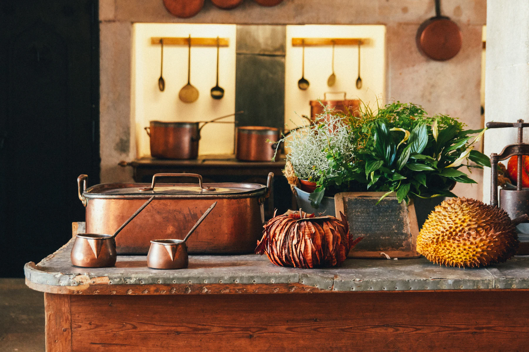 Potted herbs beside copper pans and warm fall colors on a kitchen counter